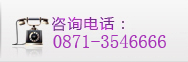 咨询电话